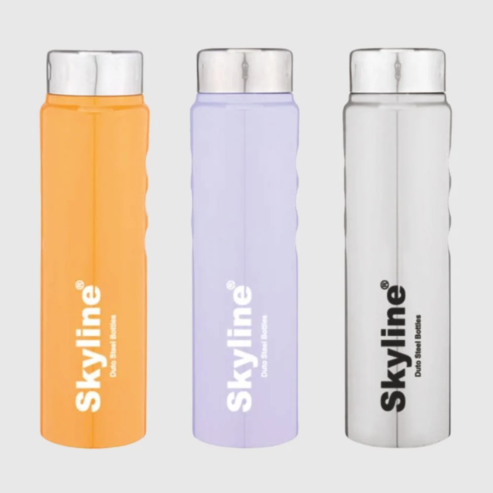 Stainless Steel Water Bottle (FRIZZY)